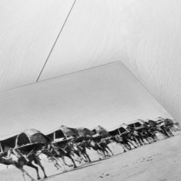 Camel caravan of pilgrims to Mecca, c.1910 by Anonymous
