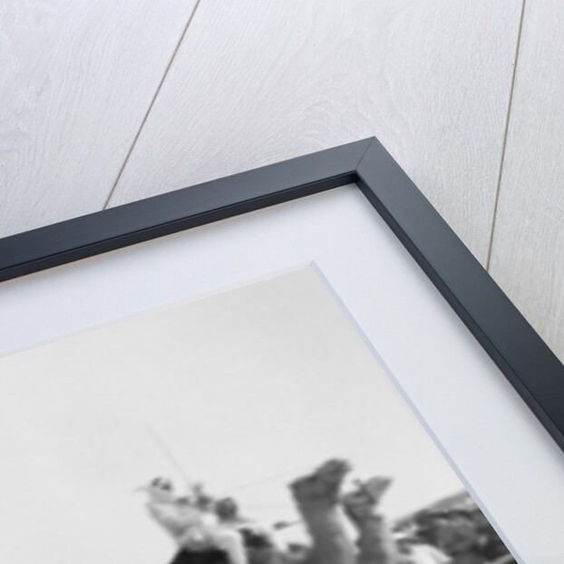 A camel race in full stride, Beersheba Race Meeting, Israel, 4th May 1940 by Anonymous