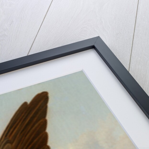 Osprey and Weakfish, 1829 by John James Audubon