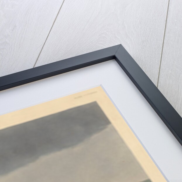 Snow goose, 1837 by John James (after) Audubon