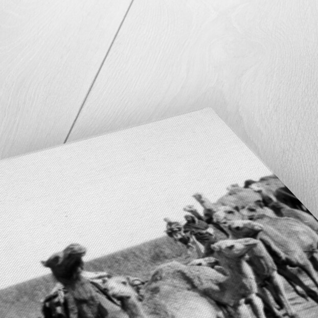 Camels fording a stream in the Valley of Elah, 1900-20 by Anonymous