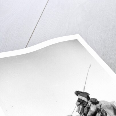 Bedouin warrior making his camel kneel, 1900-20 by Anonymous