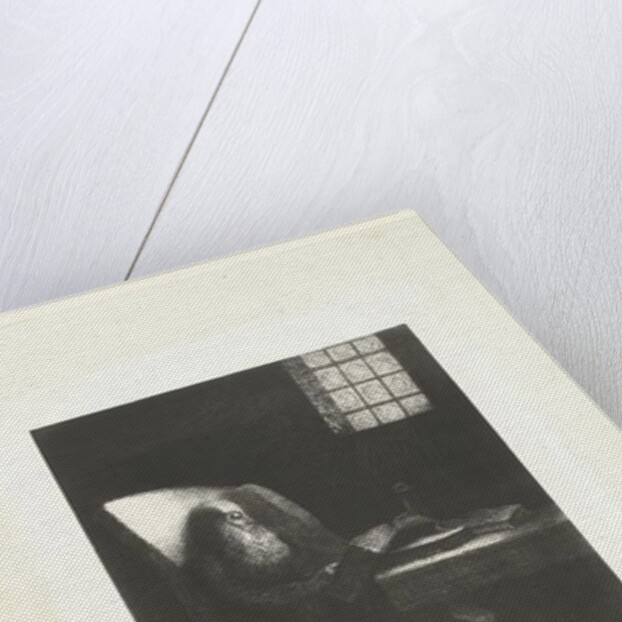 The Reader, 1892 by Odilon Redon