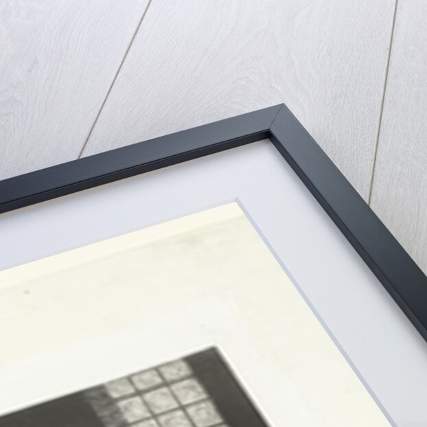 The Reader, 1892 by Odilon Redon