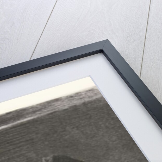 The Fallen Angel, 1886 by Odilon Redon