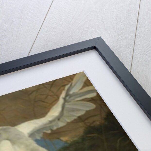 The Threatened Swan, c.1650 by Jan Asselyn