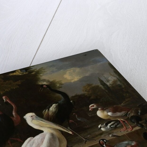 A Pelican and other Birds near a Pool, Known as ‘The Floating Feather’, c.1680 by Melchior de Hondecoeter