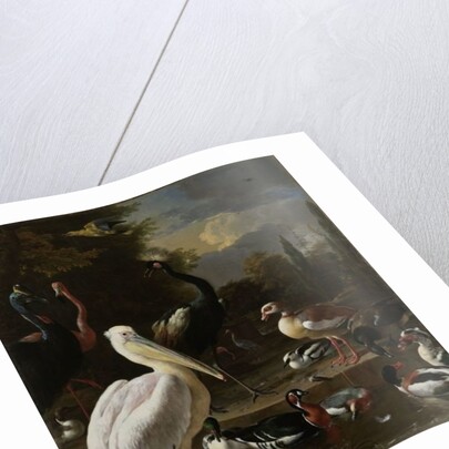 A Pelican and other Birds near a Pool, Known as ‘The Floating Feather’, c.1680 by Melchior de Hondecoeter