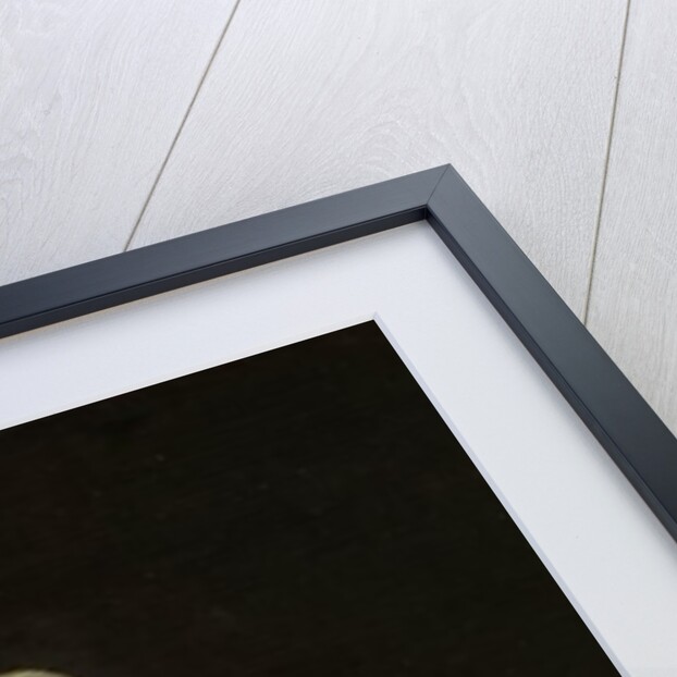 Portrait of Helena van der Schalcke, c.1648 by Gerard ter Borch or Terborch