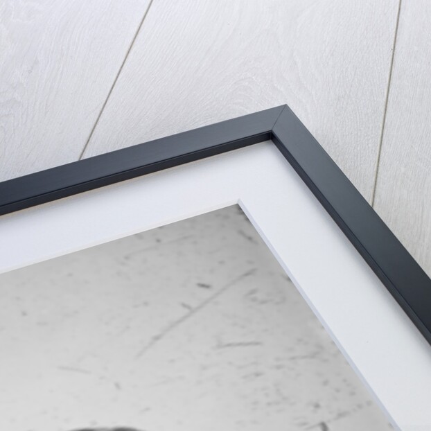 Maj. Gen. Ulysses S. Grant, officer of the Federal Army, 1862-4 by American Photographer