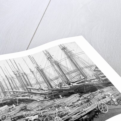 Muelle Tallapiedras, Havana, c.1904 by American Photographer