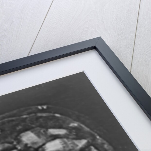 Anna Harrison by American School