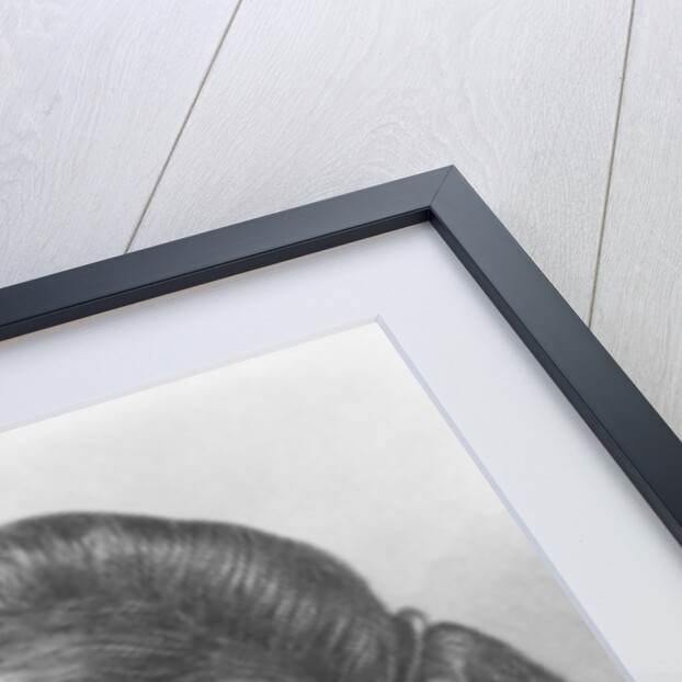 Harriet Lane, c.1860 by John Chester Buttre