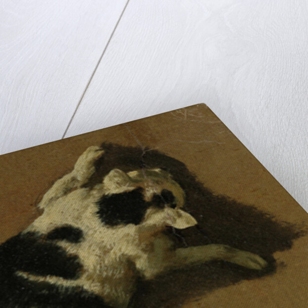 Cat playing by Adriaen van de Velde