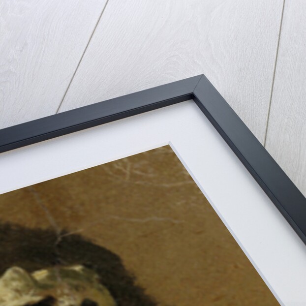 Cat playing by Adriaen van de Velde