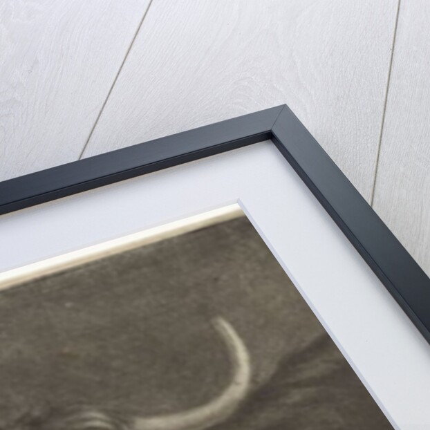 Attributes of the Guild of Saint Luke, 1735 by Jan de Groot