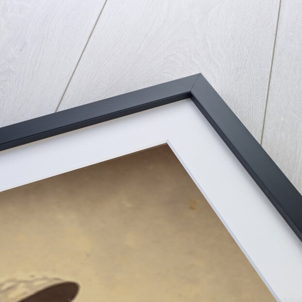 Japanese in Mackintosh, c.1865 by Felice (1825-c.1908) Beato