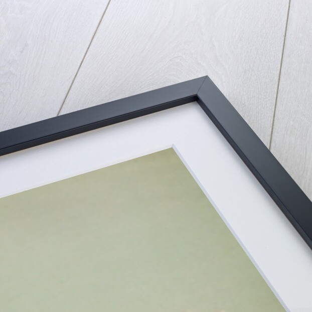 Lotus, 1896 by Kazumasa Ogawa