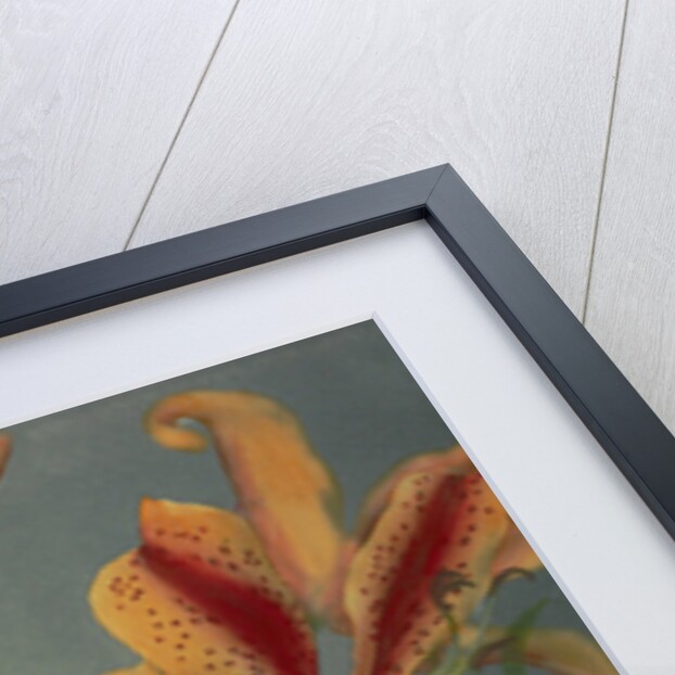 Lily, 1896 by Kazumasa Ogawa