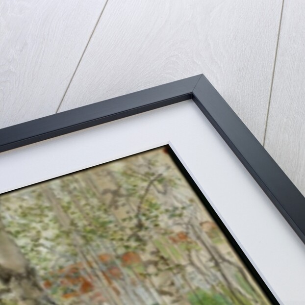 Nude Boy among Birches, 1898 by Carl Larsson