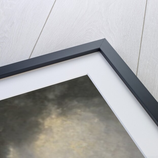 The Explorer A. E. Nordenskiold, 1886 by Georg Rosen