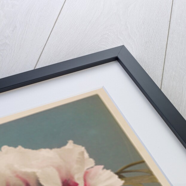 Tree Paeony, 1896 by Kazumasa Ogawa