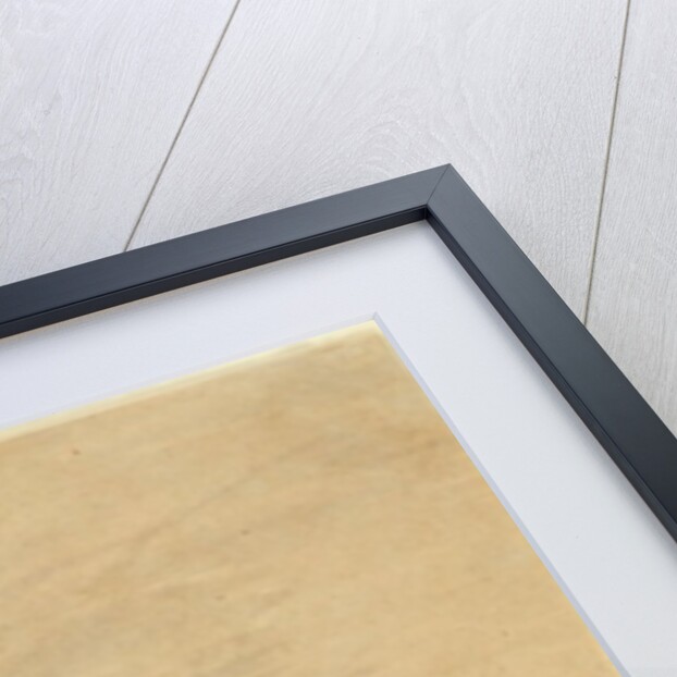 Idealized Portrait of the Mughal Empress Nur Jahan by School Mughal