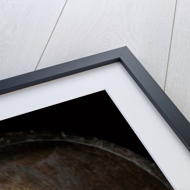 Miniature of Charles X, King of Sweden, c.1650 by Alexander Cooper