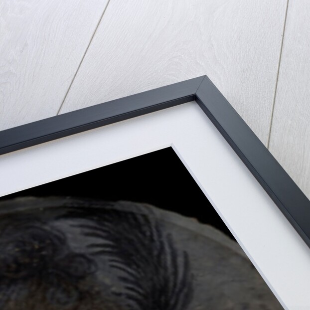 Miniature of Hedvig Sofia, Princess of Sweden, c.1700 by David von Krafft