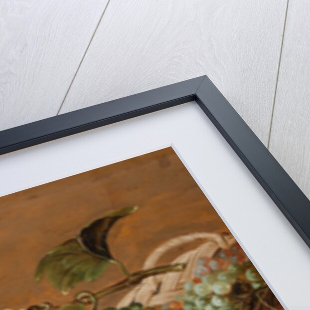 Still life with parrot, c.1640 by Roloef Koets