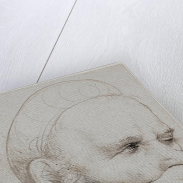 The head of a crossbowman taking aim, 1514-5 by Hans Holbein the Elder