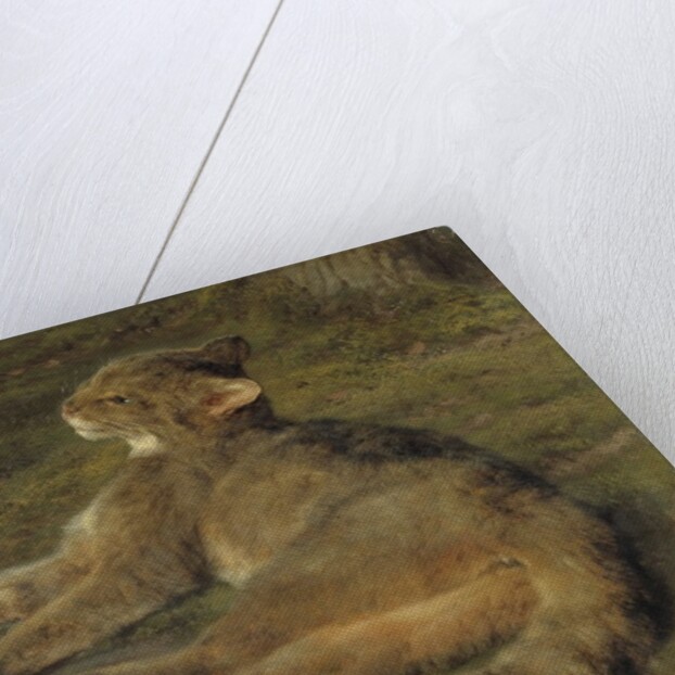 Wild Cat, 1850 by Rosa Bonheur