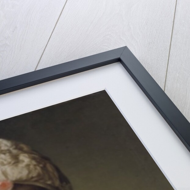 Zoie Ghika, Moldavian Princess, 1777 by Alexander Roslin