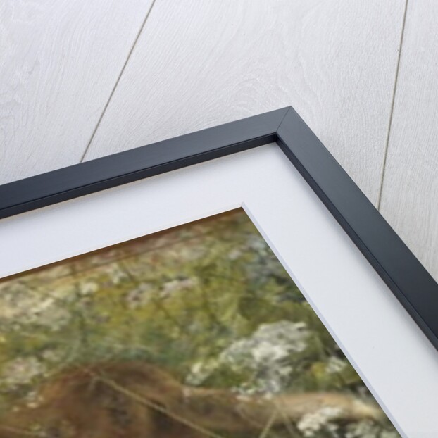 A Fox Family, 1886 by Bruno Andreas Liljefors