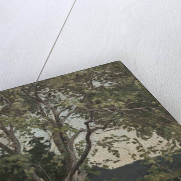 A Tree study by Anna Nordlander