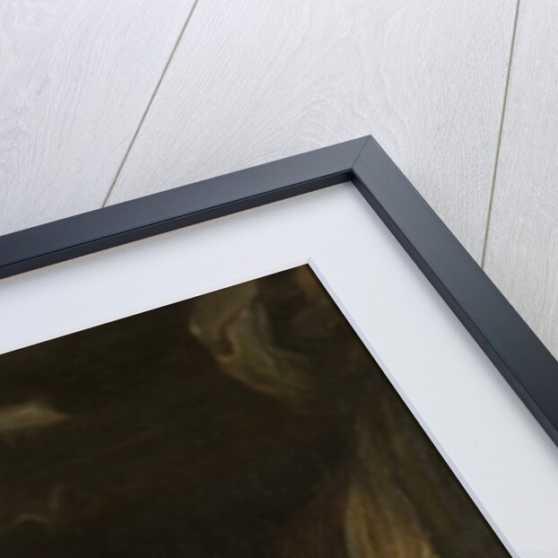 Danaë and the Shower of Gold by Italian School