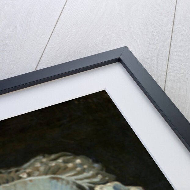 Head of a Woman, 1885 by Vincent van Gogh