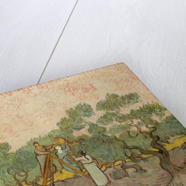 The Olive Pickers, Saint-Remy, 1889 by Vincent van Gogh