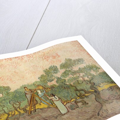 The Olive Pickers, Saint-Remy, 1889 by Vincent van Gogh