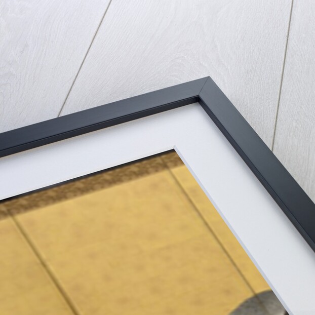 Cranes, An'ei Period, 1772 by Maruyama Okyo