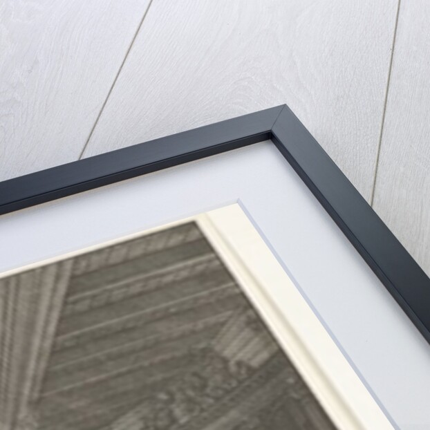 The Theatre of Jacob van Campen seen from the stage, 1658 by Solomon Savery