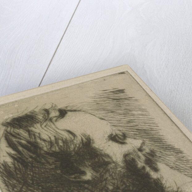 Portrait of Edgar Degas, 1875 by Giuseppe or Joseph de Nittis