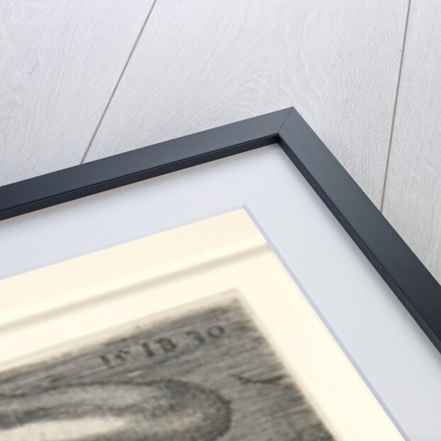 Portrait of Martin Luther, 1530 by Italian School