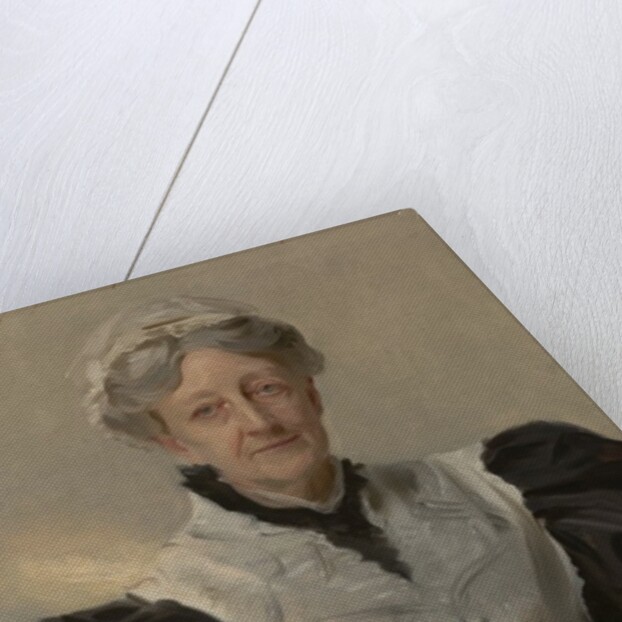 Mrs. Frederick Mead 1893 by John Singer Sargent