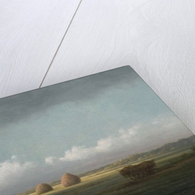 Sudden Shower, Newbury Marshes, 1865-75 by Martin Johnson Heade