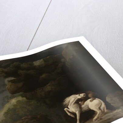 A Lion Attacking a Horse, 1770 by George Stubbs