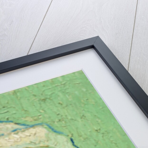 Roulin's Baby, 1888 by Vincent van Gogh