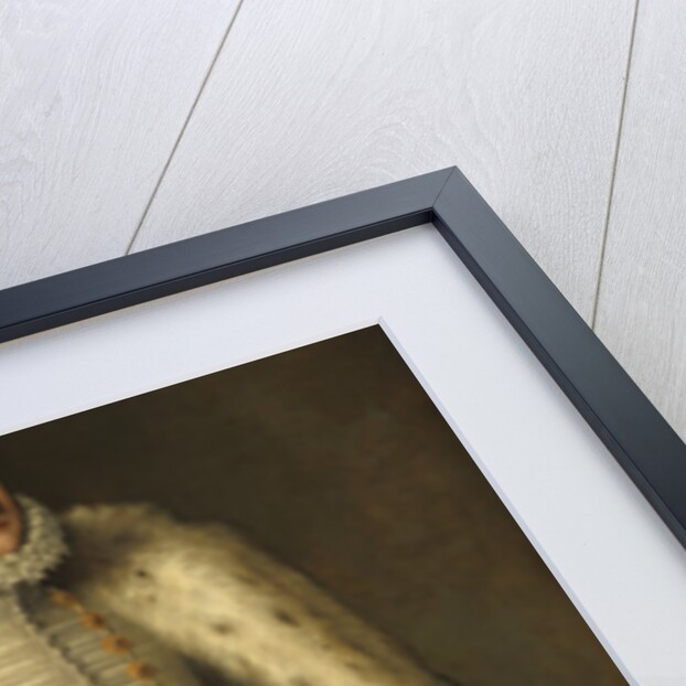 Prince Hercule-Francois, Duc d'Alencon, 1572 by French School