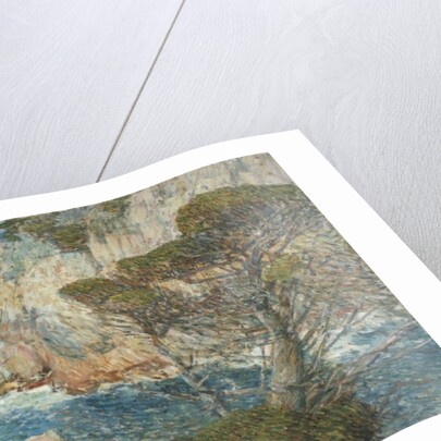 Point Lobos, Carmel, 1914 by Childe Frederick Hassam