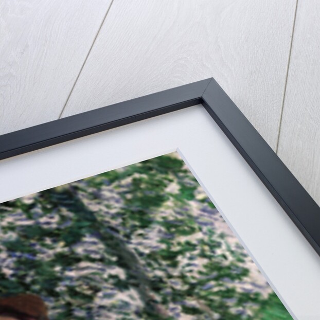 The Stroller, 1887 by Claude Monet